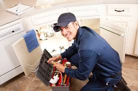 Commercial Plumbing Services in Warm Springs, CA